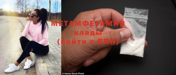 гидра Алексин