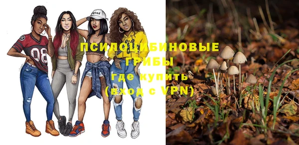 прущие крисы Алексеевка