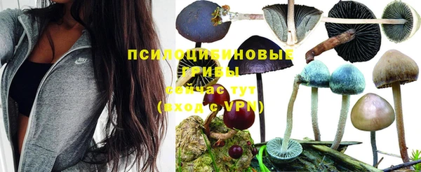 прущие крисы Алексеевка