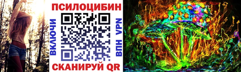 Псилоцибиновые грибы мухоморы  закладки  Ртищево 