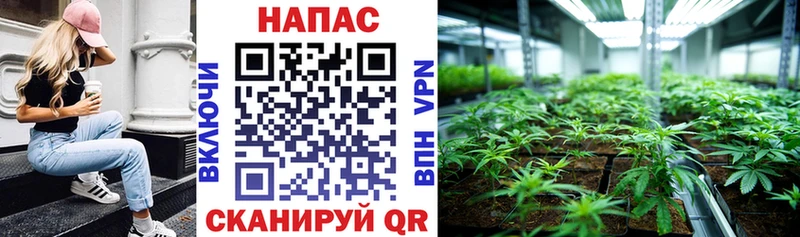 Канабис конопля МЕГА tor Ртищево